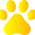 0534-dog-paw-print-in-yellow.png