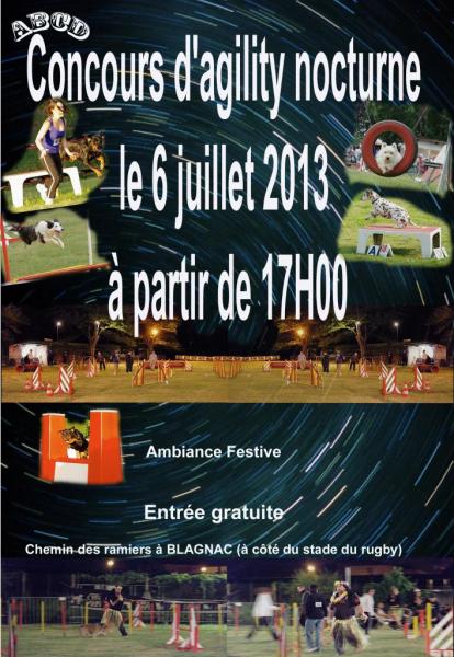 affiche-agility2013.jpg
