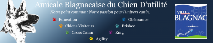 banner4.png