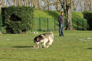 concours-obe-blagnac-10-mars-2013-2-partie-277-1.jpg