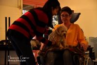Chien Visiteur