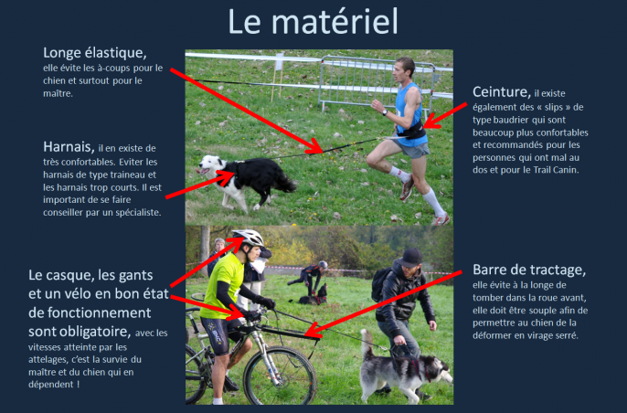 Matériel cross canin
