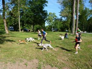 Cross Canin - Pradines 08 Mai 2011.jpg