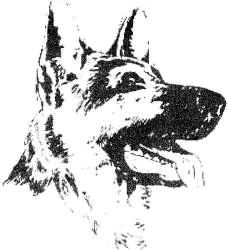 Amicale Blagnacaise du Chien D'utilité